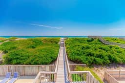 060 | Sassy Seagull - Image 4