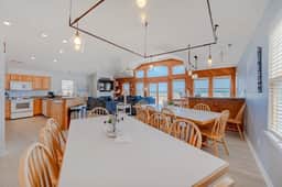 319 | Sand Dollar - Image 5