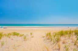 345 | Beach Peach - Image 4