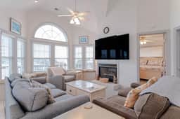 449 | Sand Dollar - Image 4