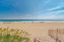 612 | Needlepoint Dunes - Image 5