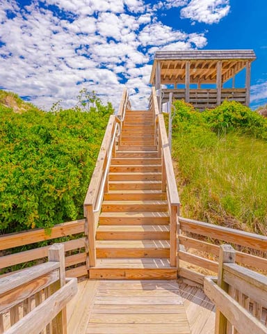 Wooden boardwalk with railings leading through dune vegetation to an elevated observation platform under blue sky