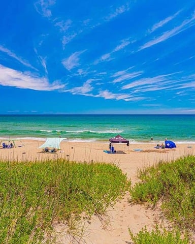 Sandy beach with dune grass, colorful umbrellas, and turquoise ocean under clear blue sky