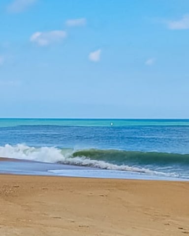 Sandy beach with dune grass, beach chair, swimmers, and rolling ocean waves under blue sky