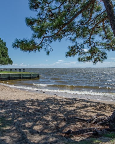 Sandy beach with large pine tree, wooden dock, and calm bay waters under blue sky