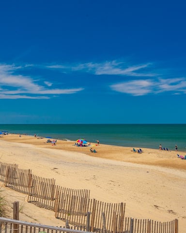 Sandy beach with dune fencing, beach umbrellas, and swimmers under clear blue sky