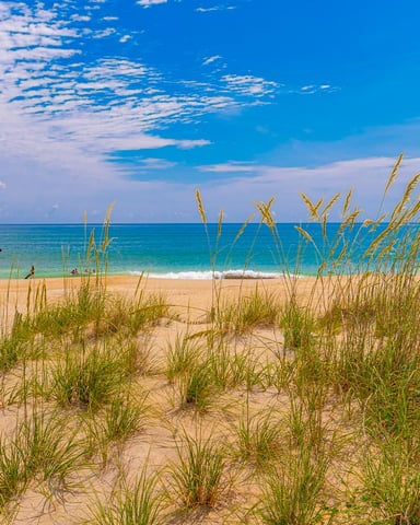 Sandy beach with dune grass and wooden fence, turquoise ocean, swimmers in water, blue sky with clouds