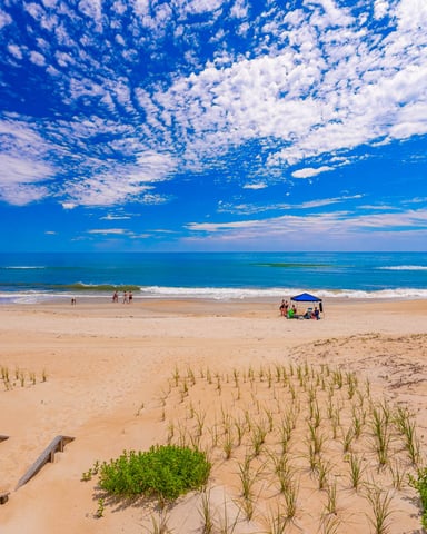 Sandy beach with dune vegetation, beachgoers, and blue ocean under clear sky with white clouds