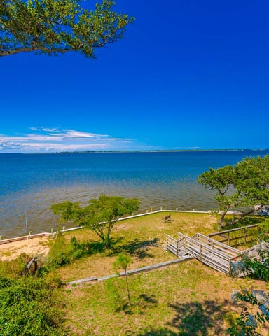 Coastal beach with sandy shore, wooden fence, scattered trees, and clear blue water under bright sky