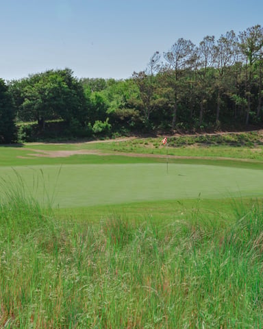 Golf course green with flag marker, surrounded by tall trees and rough grass under clear sky