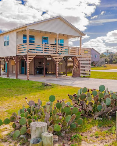 Elevated beach house with white siding and covered porch, surrounded by prickly pear cacti and green lawn, neighboring similar homes visible