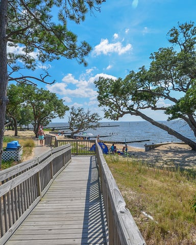 Wooden boardwalk through pine trees leading to sandy beach with bay water and swimmers visible