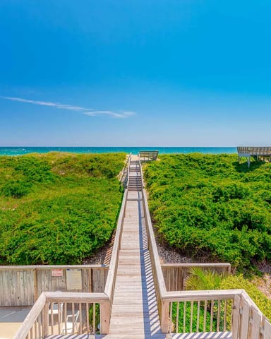 Wooden boardwalk descending through dune vegetation to beach and ocean under clear blue sky