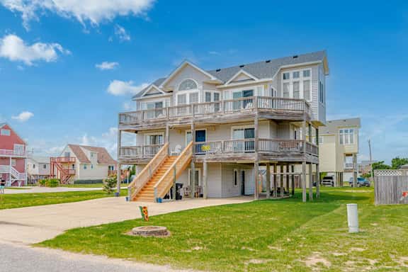 449 | Sand Dollar - Image 1