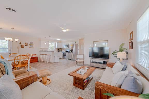 231 | Shell Seekers - Image 4