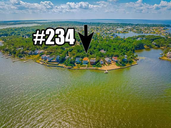 234 | Pelican's Bluff - Image 3
