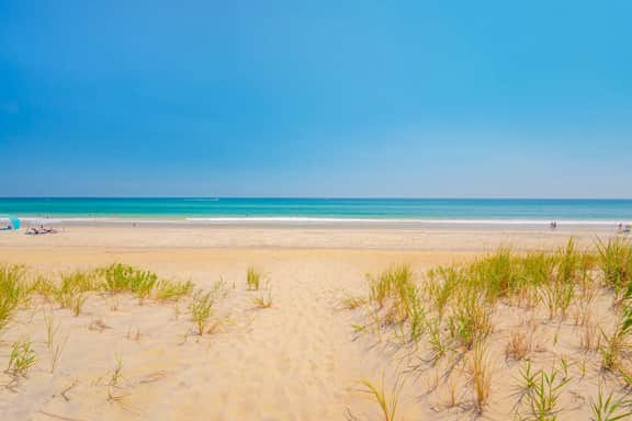 345 | Beach Peach - Image 4