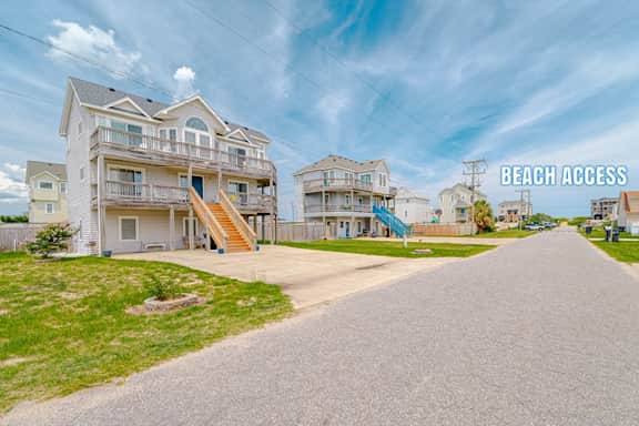 449 | Sand Dollar - Image 3