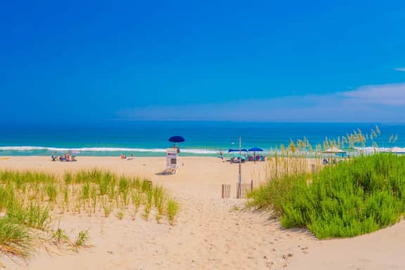 808 | Rogues Harbor - Image 4