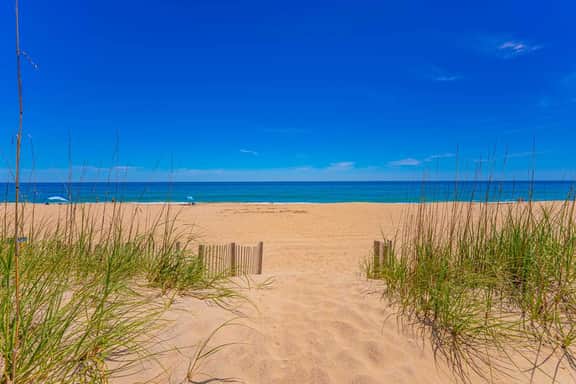 779 | Belle Of The Beach - Image 5