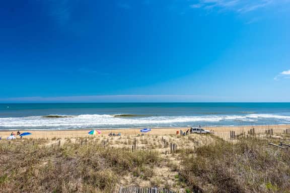 AV2-2D | Shamrock By The Sea - Image 3