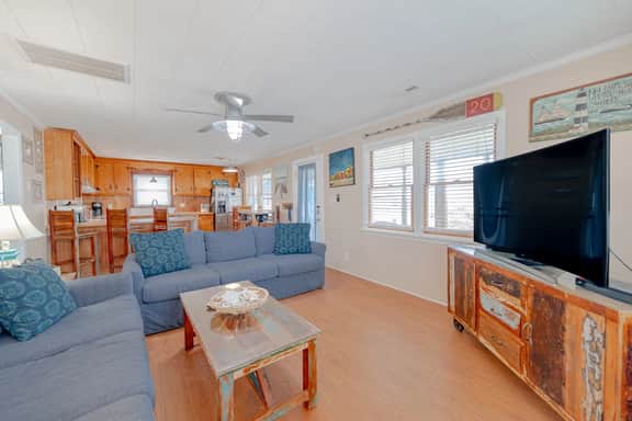 050 | Kitty Hawk Sunshine - Image 5