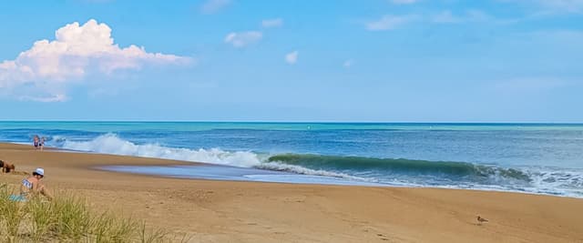 Sandy beach with dune grass, beach chairs, swimmers, and rolling ocean waves under blue sky with white clouds