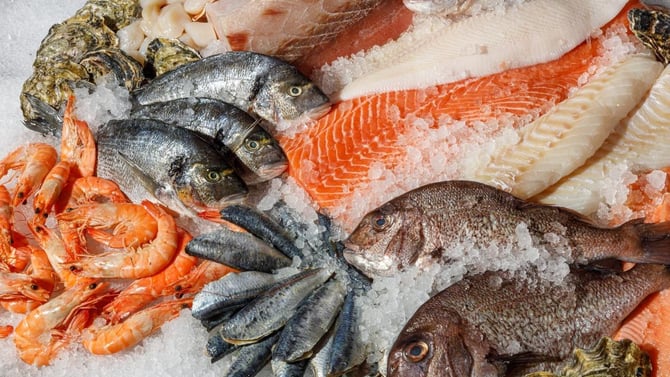 Outer Banks Seafood Festival 2025